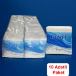 Ekonomik Peçete - 24 cm - 10 Paket (60 Adet/Paket)